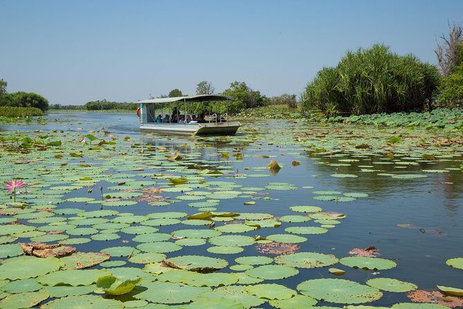1 Day Corroboree Billabong Wetland Experience including 2.5 hour cruise + lunch - Transportation and Group Size