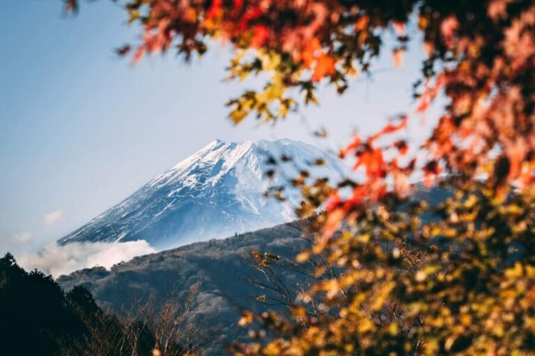 1-Day Mt Fuji and Hakone Sightseeing trip from Tokyo - The Practical Side: Transportation, Cost, and Comfort