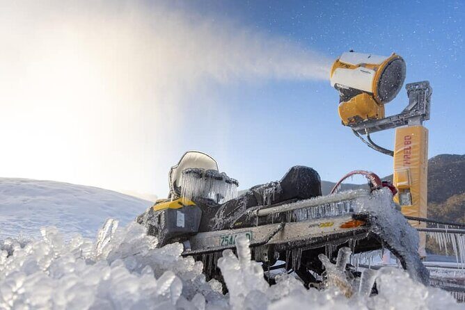 1 Day Perisher Snow Tour - The Experience of Travel and Snow