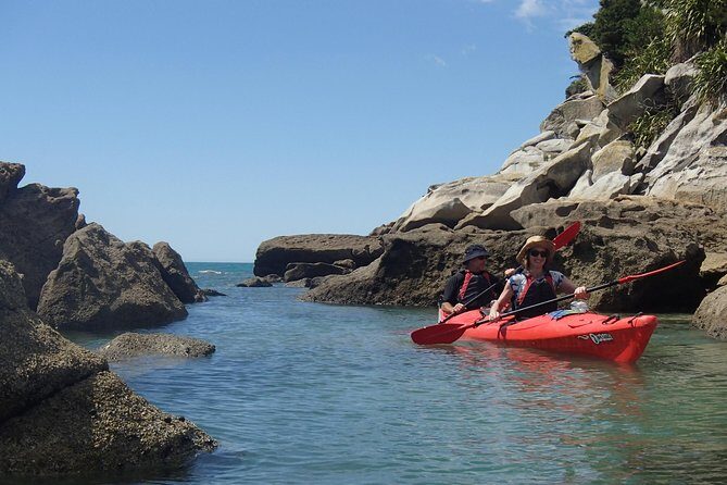 1 Day Sea Kayak Rental - Authentic Voices: What Past Participants Say