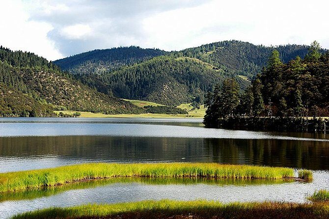 1 Day Shangri-la City Tour with Pudacuo National Park - What Travelers Say
