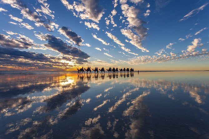 1 Hour Broome Sunset Camel Tour - Detailed Review of the Broome Sunset Camel Tour