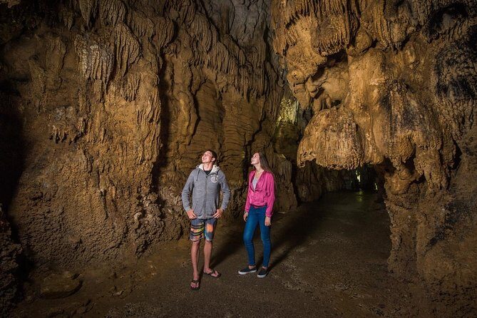 1-Hour Guided Tour of Aranui Cave Waitomo - Detailed Exploration of the Tour
