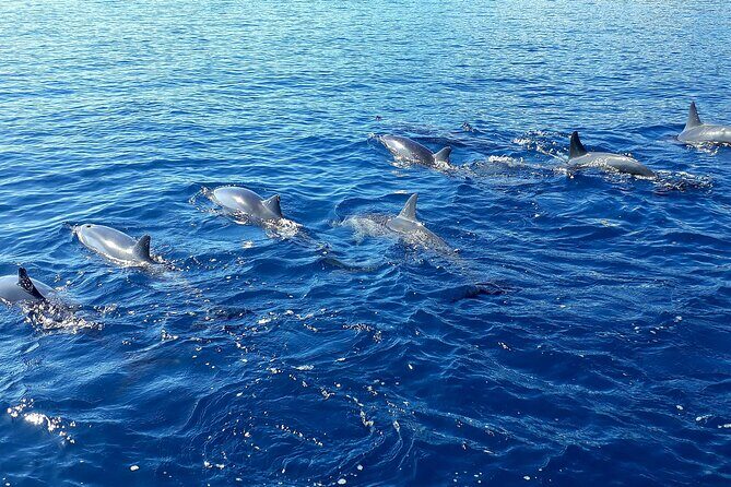 1-hour jet ski excursion in Tahiti - What to Expect from the Experience