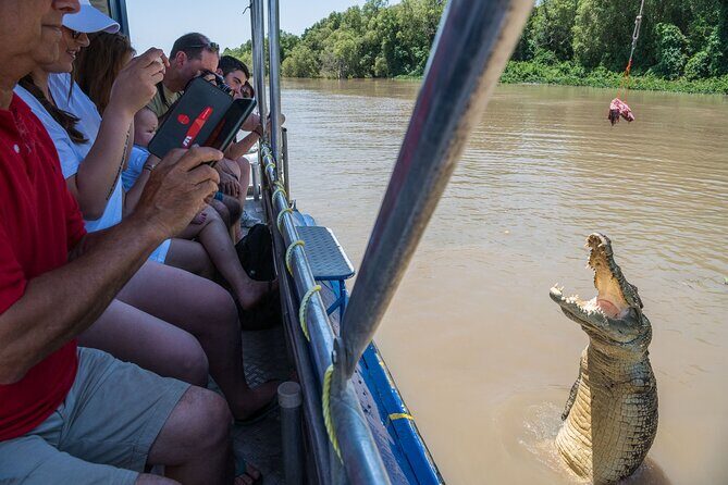 1 Hour Jumping Crocodile Cruise on the Adelaide River - The Itinerary in Detail