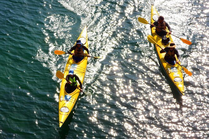 1 Hour Rental Deluxe Double Sea Kayak - Final Thoughts
