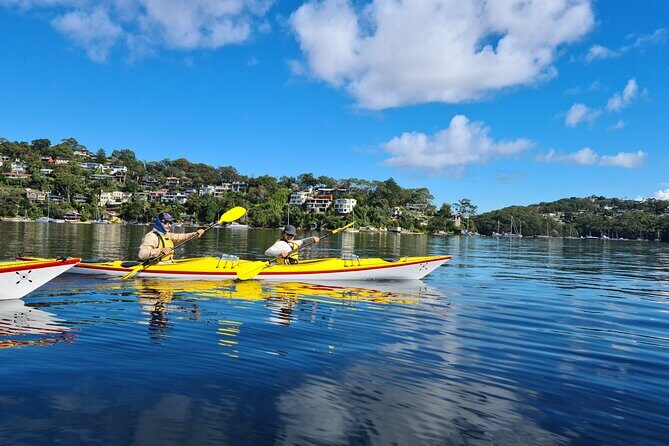1 Hour Rental in a Deluxe Double Sea Kayak - Authentic Insights and Traveler Perspectives