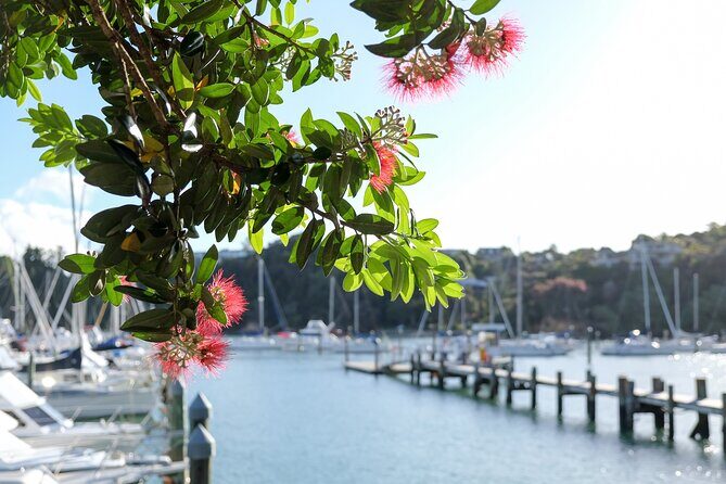 1 Hour Scenic Bay of Islands Tour - An In-Depth Look at the Itinerary