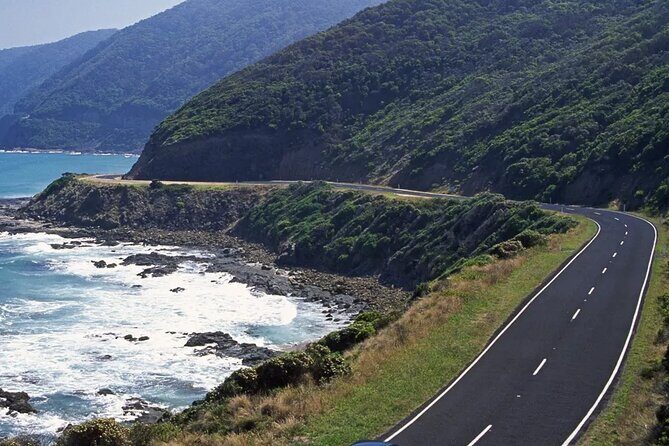 12 Apostles Great Ocean Road Tour From Melbourne - What the Reviews Say