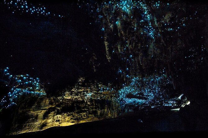 12-Hour LOTR Trollshaws & Waitomo Glowworm Tour - Who Will Appreciate This Experience?