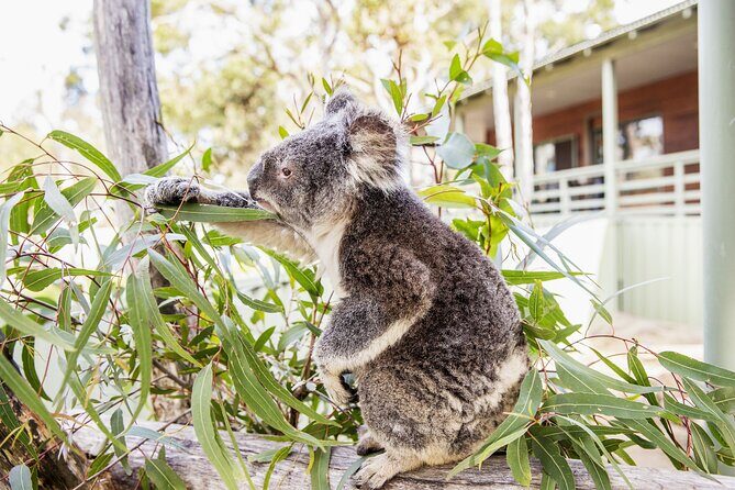 14 Day Tour from Sydney to Cairns Fraser Island and Whitsundays - Who Will Love This Tour?