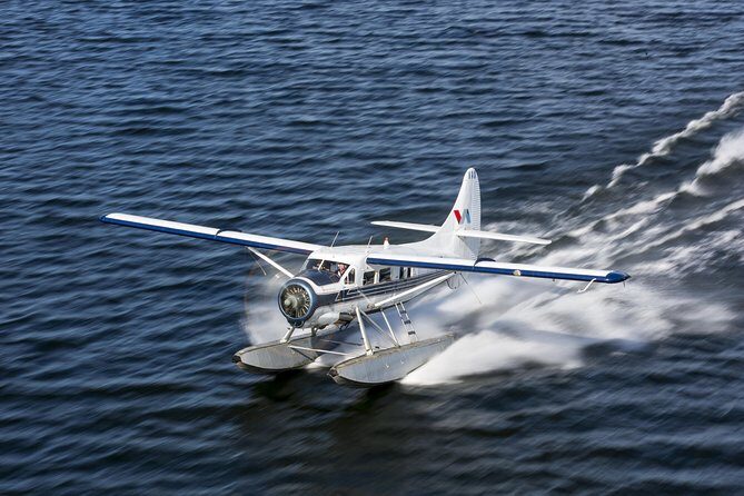 15-Minute Crater Lakes Flight by Floatplane from Rotorua - Why the small-group format matters