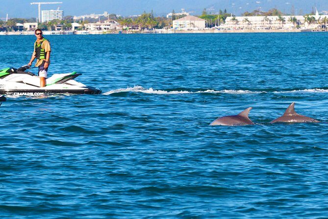 1hr Jet Ski Safari - The Sum Up