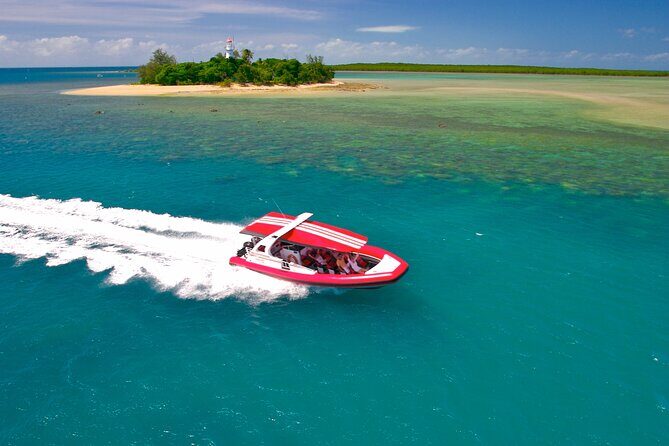 2 1/4 hr Low Isles Reef Sprinter Snorkeling Tour-No Island Access - Authentic Insights from Travelers