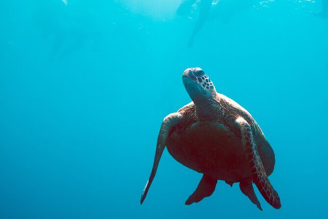 2 Day & 2 Night Whitsundays Sailing Adventure on Broomstick - Deep Dive: What Makes This Tour Stand Out