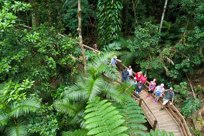 2 Day Daintree Rainforest and Chillagoe Outback Tour - Why This Tour Offers Great Value