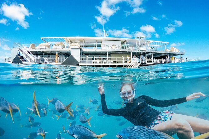 2-Day Great Barrier Reef: Reefsleep Experience - What the Reviews Say