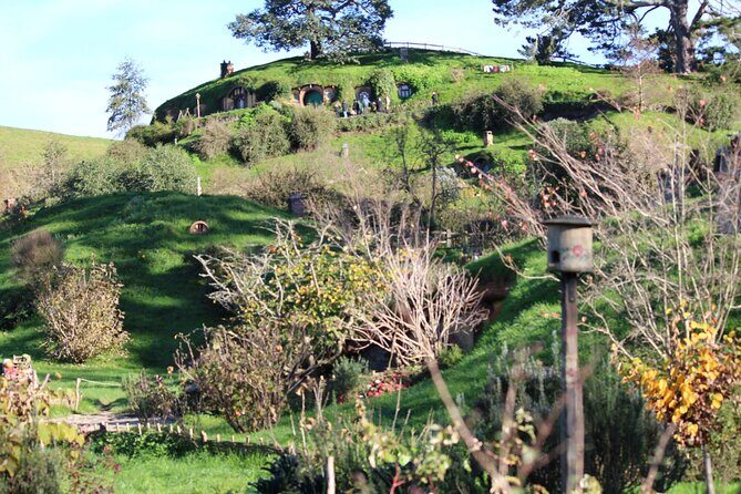 2-Day Hobbiton, Rotorua, Waitomo Caves Tour from Auckland with Accommodation - Transportation, Group Size, and Overall Value