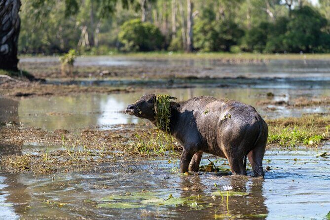 2 Day Kakadu Highlights Tour - Comfort and Convenience