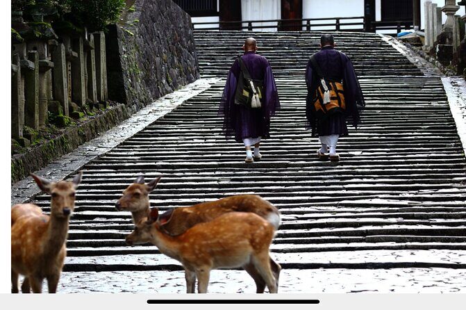 2-day Kansai world ExTour I tour around Osaka,Kyoto,Nara,andUji - Pricing and Value