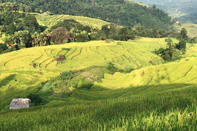 2-Day Motorbike Tour to Mu Cang Chai Loop from Sapa - Practical Considerations