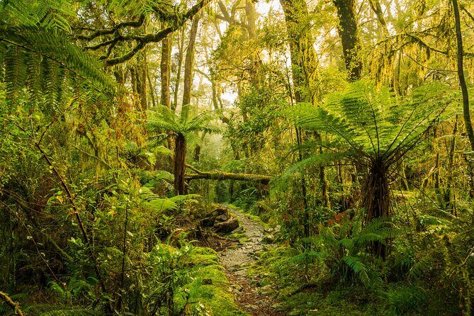 2-day Private Overnight Hurunui River Hot Springs Hike or Bike - Authentic Wilderness and Scenic Highlights