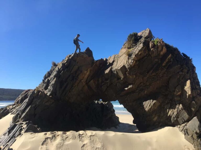2 Day Tasmanian Highlights Tour - Bruny Island & Port Arthur - The Value of the Tour
