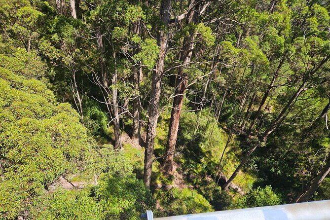2 Day Tour Busselton Jetty, Ngilgi Cave to Valley of the Giants - Breaking Down the Itinerary