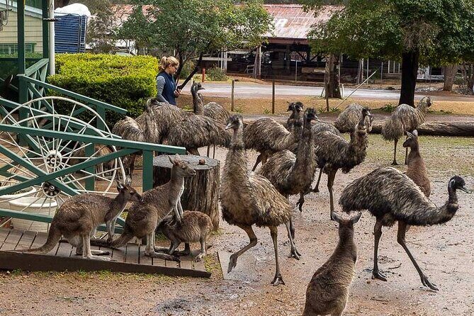 2 Day Tour to Busselton Jetty, Margaret River and South West - What Makes This Tour Stand Out