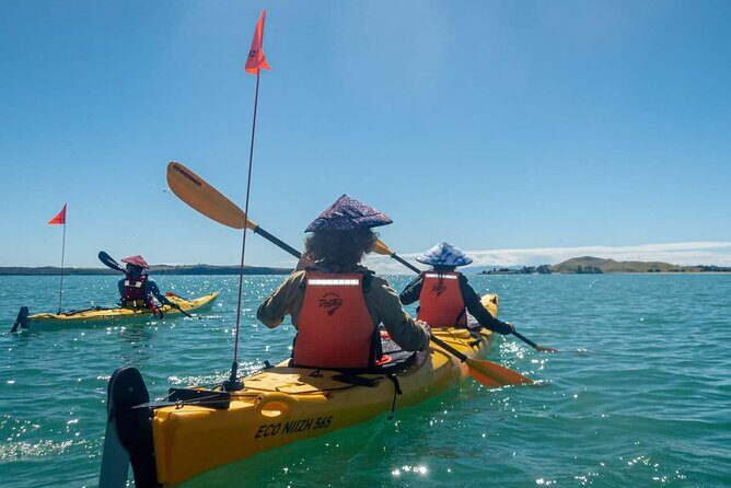 2-Day Waiheke Island Sea Kayak Tour - Who Should Consider This Tour?