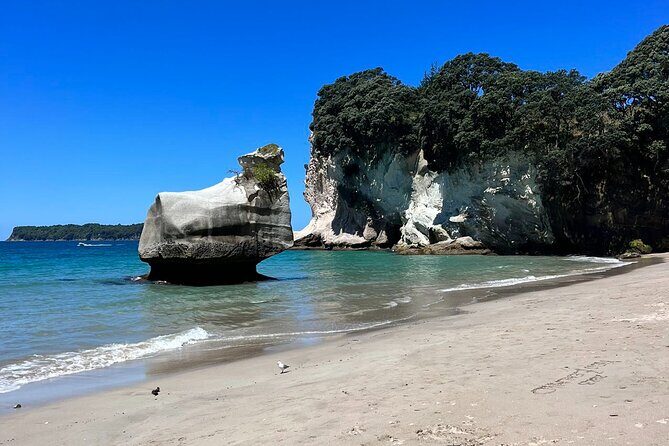 2 Days Private Tour in Coromandel Peninsula from Hamilton - Final Thoughts: Who Will Love This Tour?