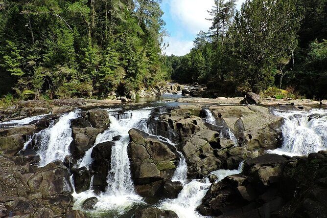 2 Days Private Tour in Tauranga, Rotorua, Taupo from Hamilton - The Practicalities: What’s Included and What to Consider