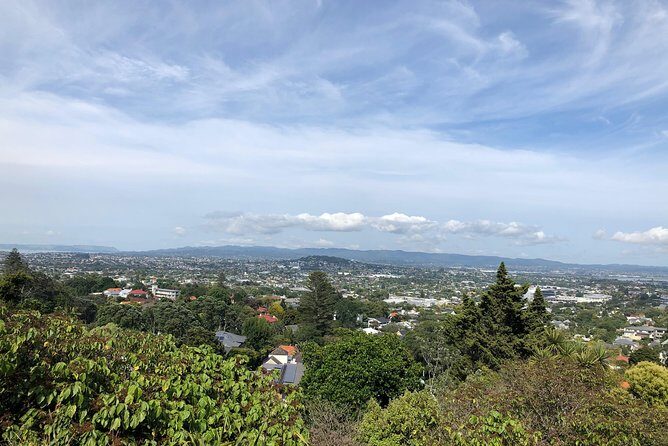 2 Days Tours from Auckland to Rotorua - What the Reviews Say (from available feedback)