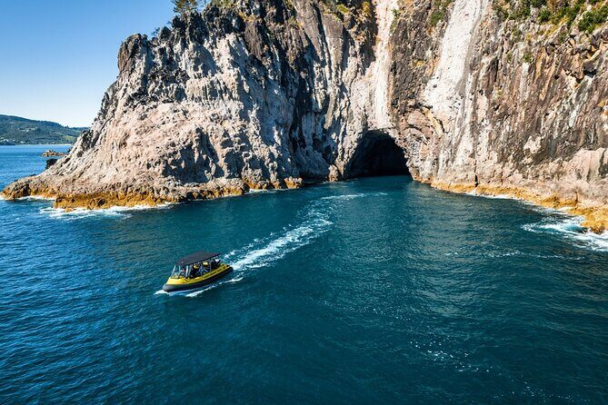 2 Hour Cathedral Cove and Volcanic Coast Cruise with Shade Canopy - Why This Tour Stands Out