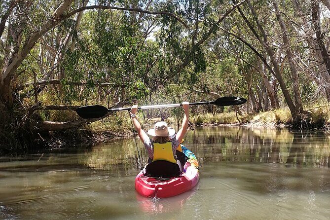 2-Hour Kayaking Experience in Barossa Valley - The Location and Meeting Point