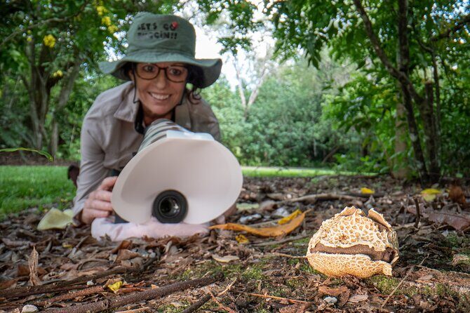 2-Hour Mushroom Photography Activity in Cairns Botanic Gardens - Analyzing the Value