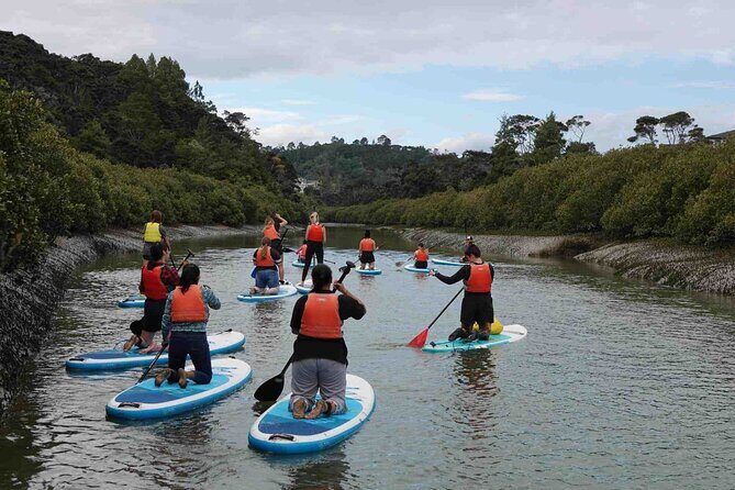 2-Hour Stand-Up Paddle Boarding Tour to Lucas Creek Waterfall - Who Should Consider This Tour?