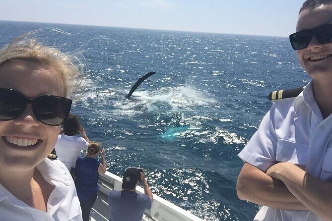 2 hour whale watching experience departing Hillarys Boat Harbour - Final Thoughts: Is It Worth It?
