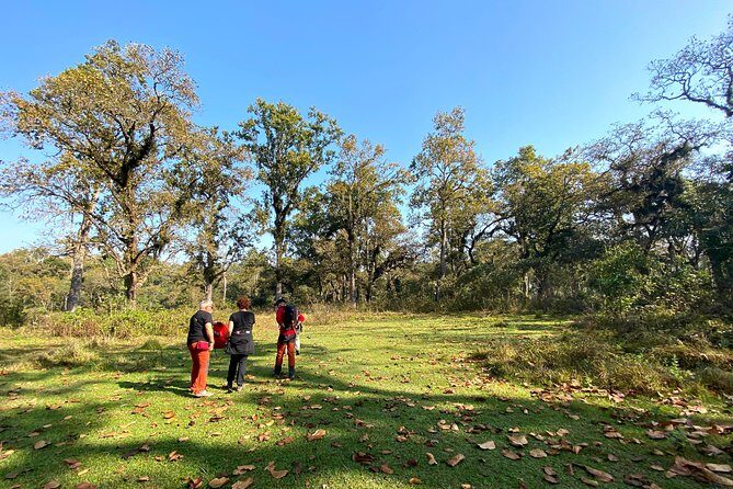 2 Hours Nature Walk in Chitwan National Park - Who Should Consider This Tour?