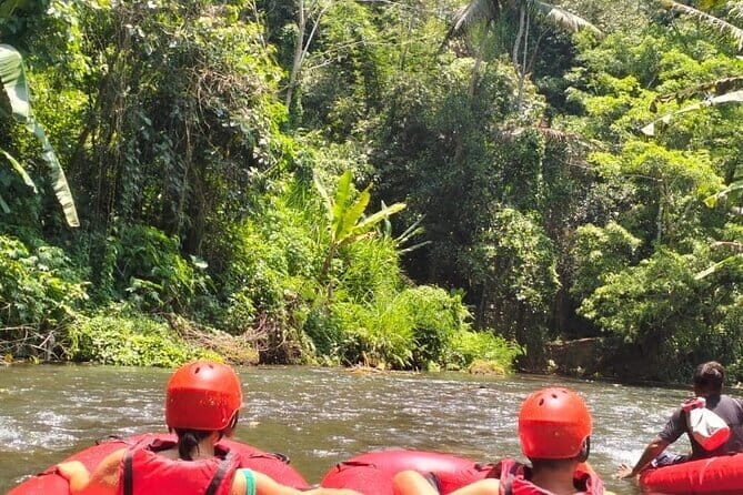 2 Hours Ubud River Tubing - Who Should Consider This Tour?