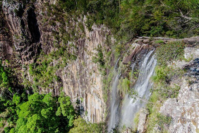 2 Night Rainforest Glamping Adventure near Byron Bay - Exploring the Itinerary: What You Can Expect