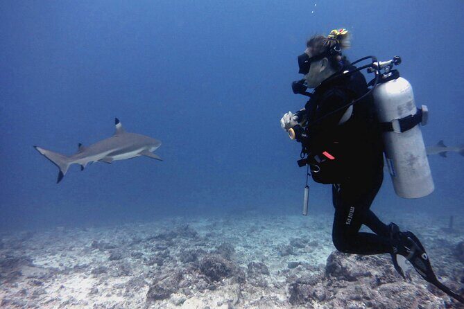 2 Tank (1 Day) Guided Diving for Certified Divers - Denarau Marina - Frequently Asked Questions