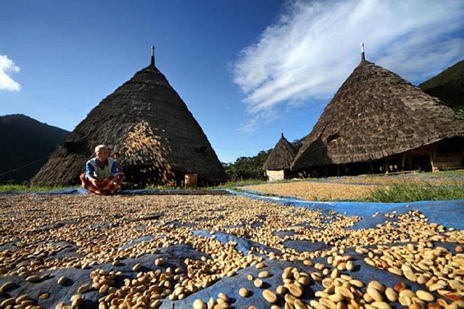 2Days - Cultural Tour to Wae Rebo Village - Detailed Analysis: Is This Tour Worth the Price?