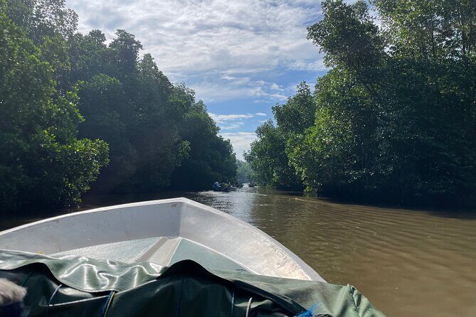 2h Bentota River Safari from Hotels in Ahungalla/Bentota/Induruwa - The Benefits and Value of This Tour