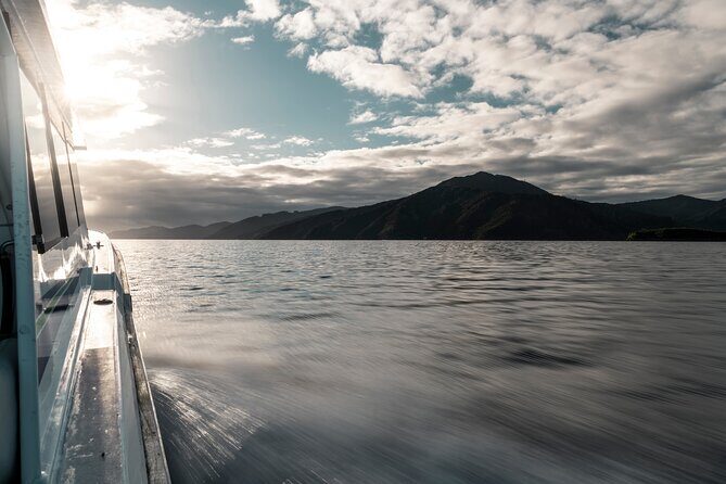 3.5 Hour Marlborough Sounds Delivery Cruise - Exploring the Marlborough Sounds from the Water