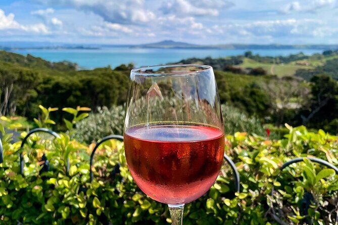 3.5 hour Sunset Tour on Waiheke Island - The Sum Up
