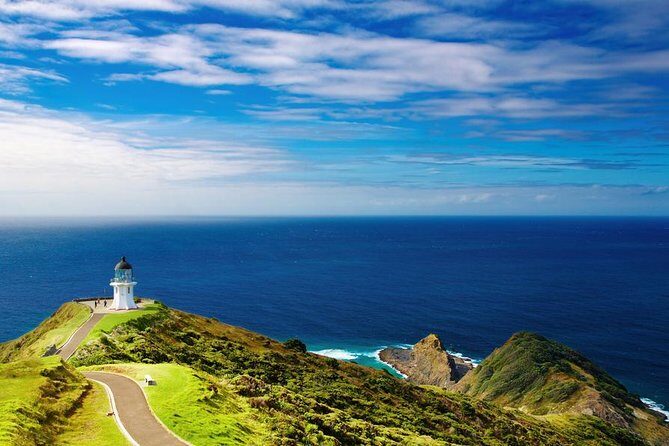 3-Day Bay of Islands Tour from Auckland - What Could Be Better