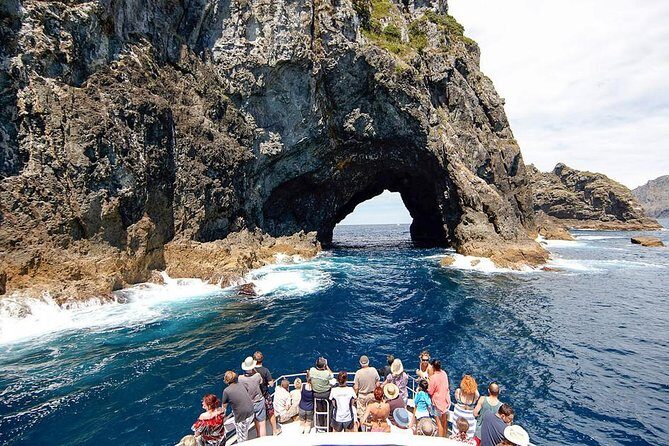 3 Day Bay Of Islands Tour from Auckland including Waitangi and Cape Reinga - What Travelers Say: Authentic Perspectives