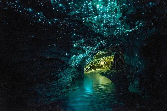3-Day Hobbiton, Rotorua, Whakarewarewa, and Waitomo Tour - Deep Dive into the Experience