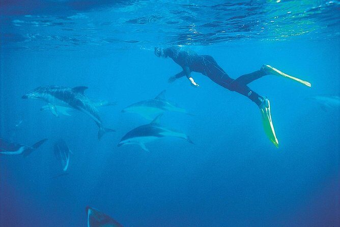 3 Day Kaikoura Sealife and Coach Tour from Christchurch - Practical Considerations and Value